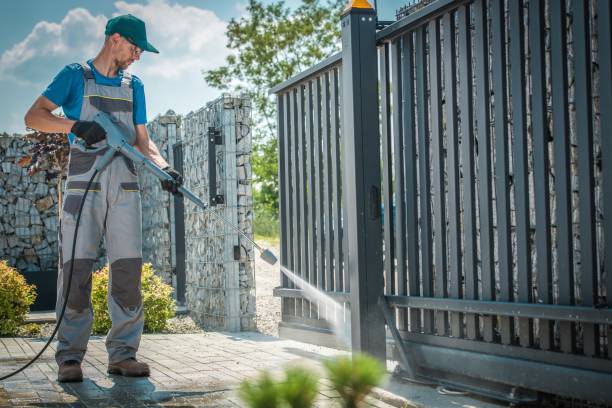 Best Solar Panel Cleaning  in Runge, TX