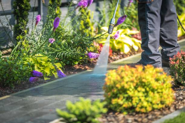Best Animal Enclosure Cleaning  in Runge, TX