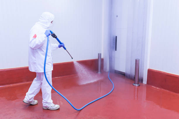 Best Driveway Pressure Washing  in Runge, TX